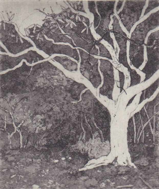 lorne walk II by stephanie Jane Rampton, Image 1.