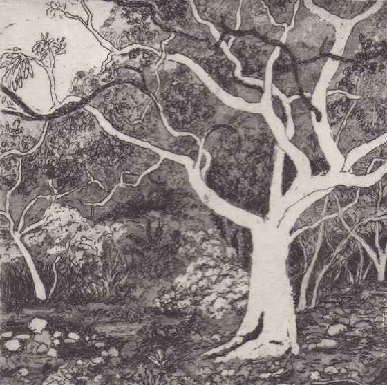lorne walk by stephanie Jane Rampton, Image 1.