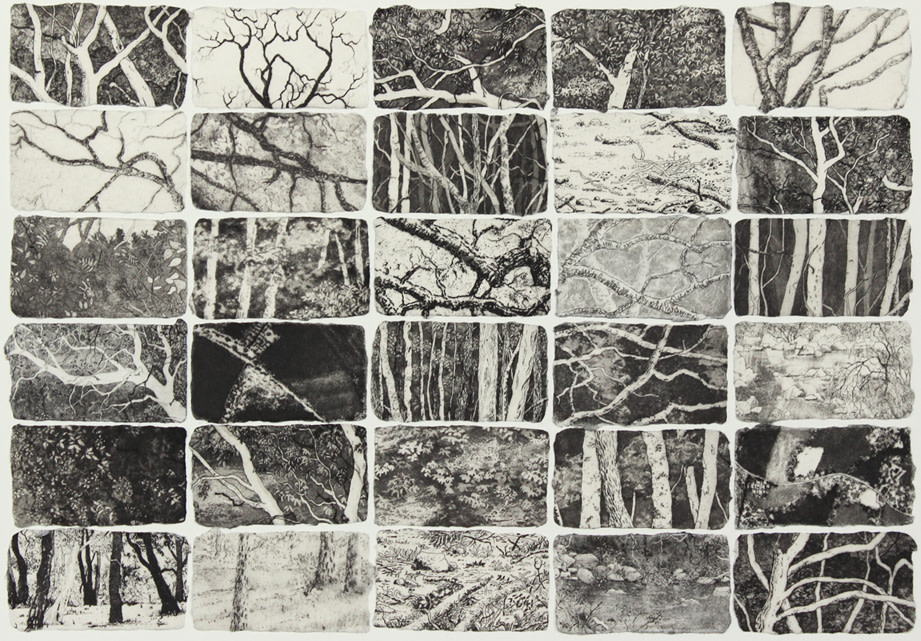 memories of home by stephanie Jane Rampton 