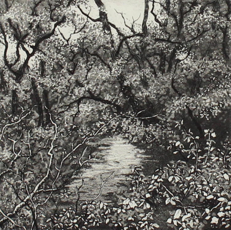 meon at Titchfield by stephanie Jane Rampton 