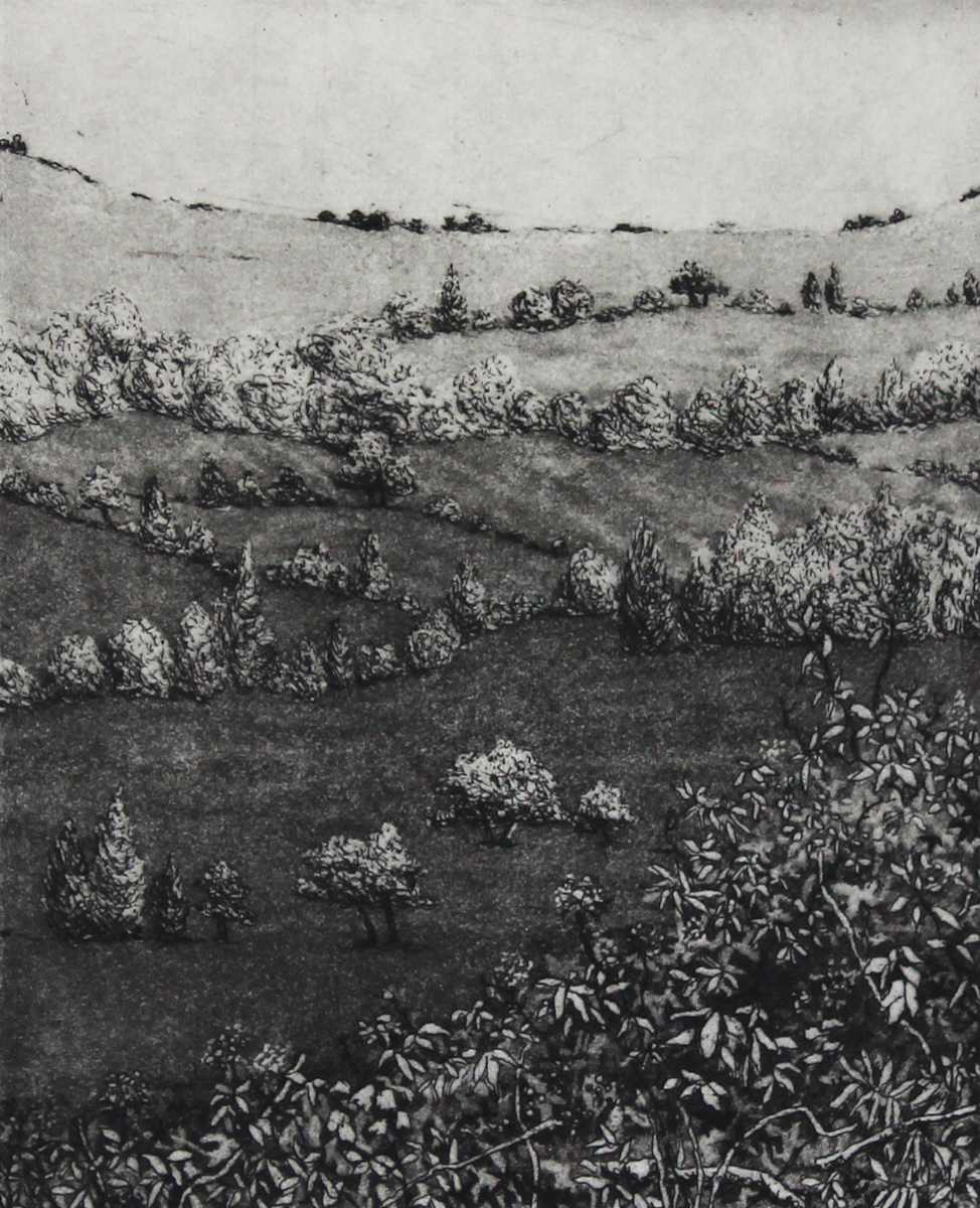 mill lane by stephanie Jane Rampton, Image 1.
