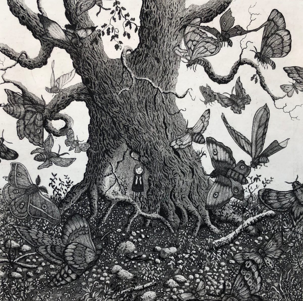 moth tree by stephanie Jane Rampton, Image 1.