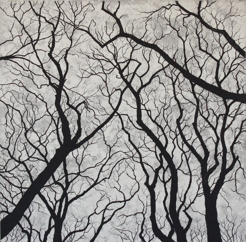 nightfall US by stephanie Jane Rampton 