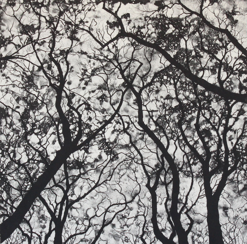 nightfall by stephanie Jane Rampton 