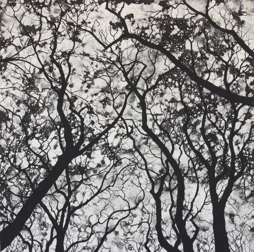 nightfall by stephanie Jane Rampton, Image 1.