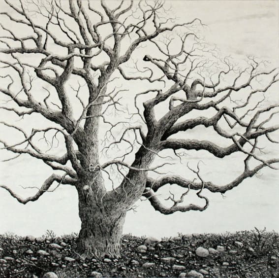 ode to winter by stephanie Jane Rampton, Image 1.