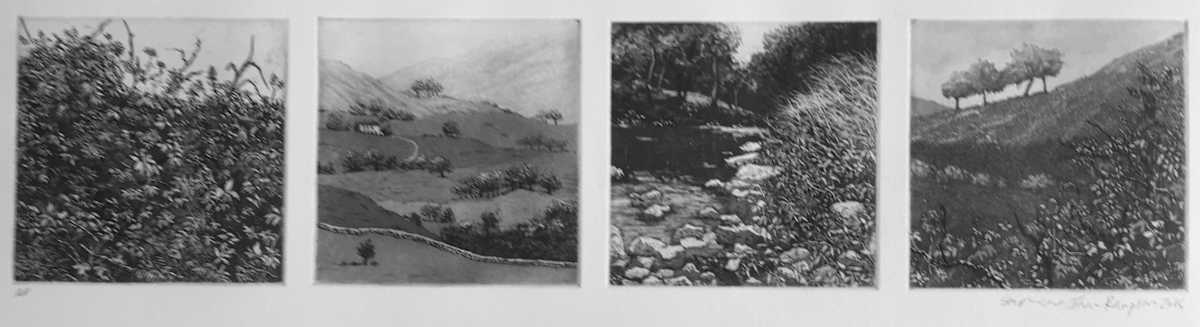 points of view by stephanie Jane Rampton, Image 1.