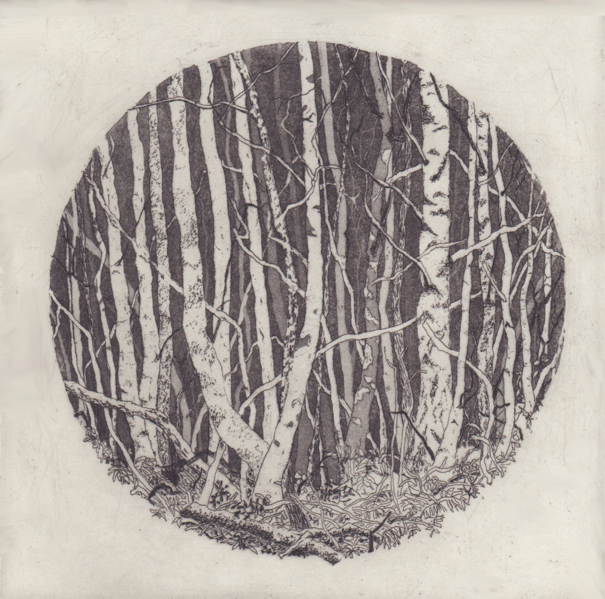 round there by stephanie Jane Rampton 