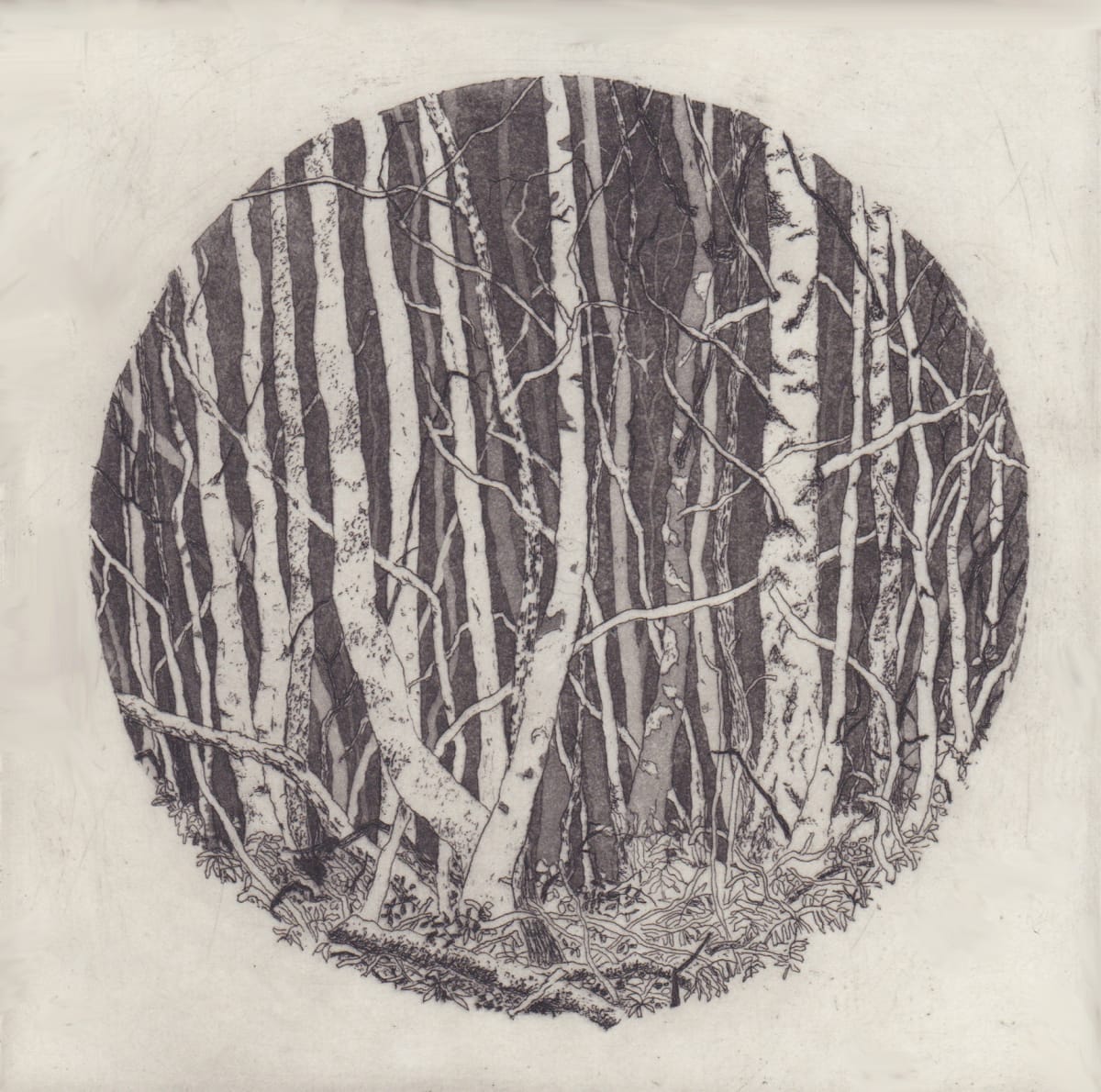 round there by stephanie Jane Rampton, Image 1.