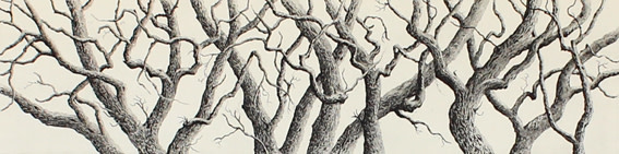 sentinels by stephanie Jane Rampton 