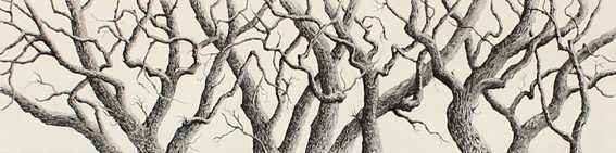 sentinels by stephanie Jane Rampton, Image 1.