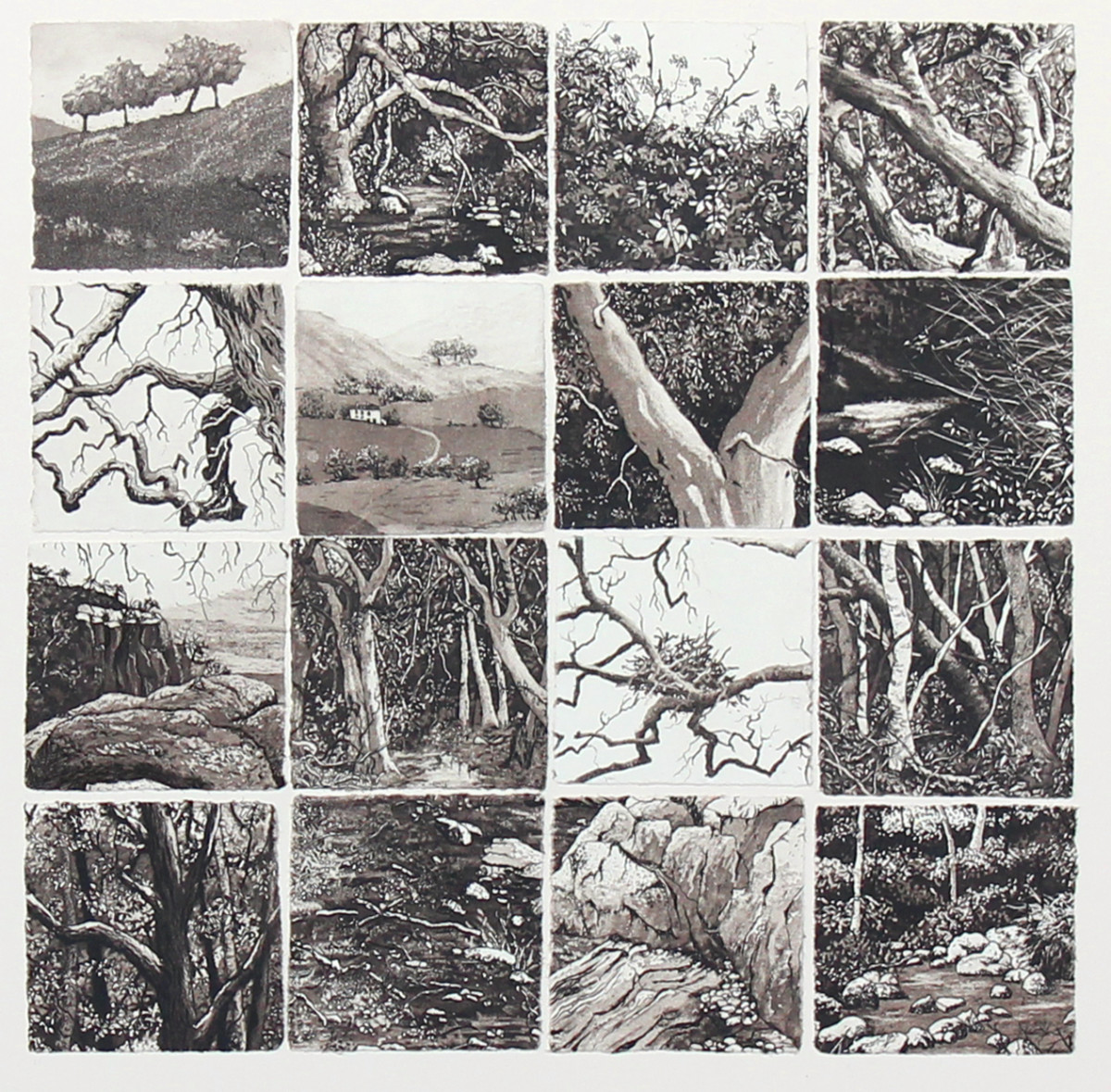 sixteen memories II by stephanie Jane Rampton 