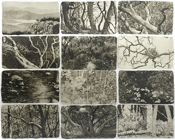 small sanctuaries II by stephanie Jane Rampton, Image 1.