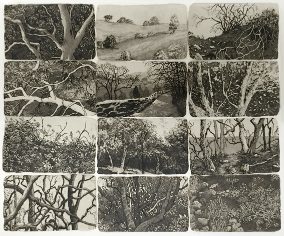 small sanctuaries IV by stephanie Jane Rampton 