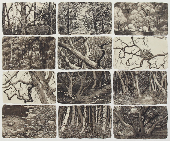 small sanctuaries by stephanie Jane Rampton 