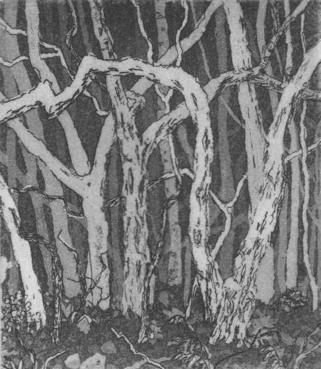 somewhere else by stephanie Jane Rampton, Image 1.