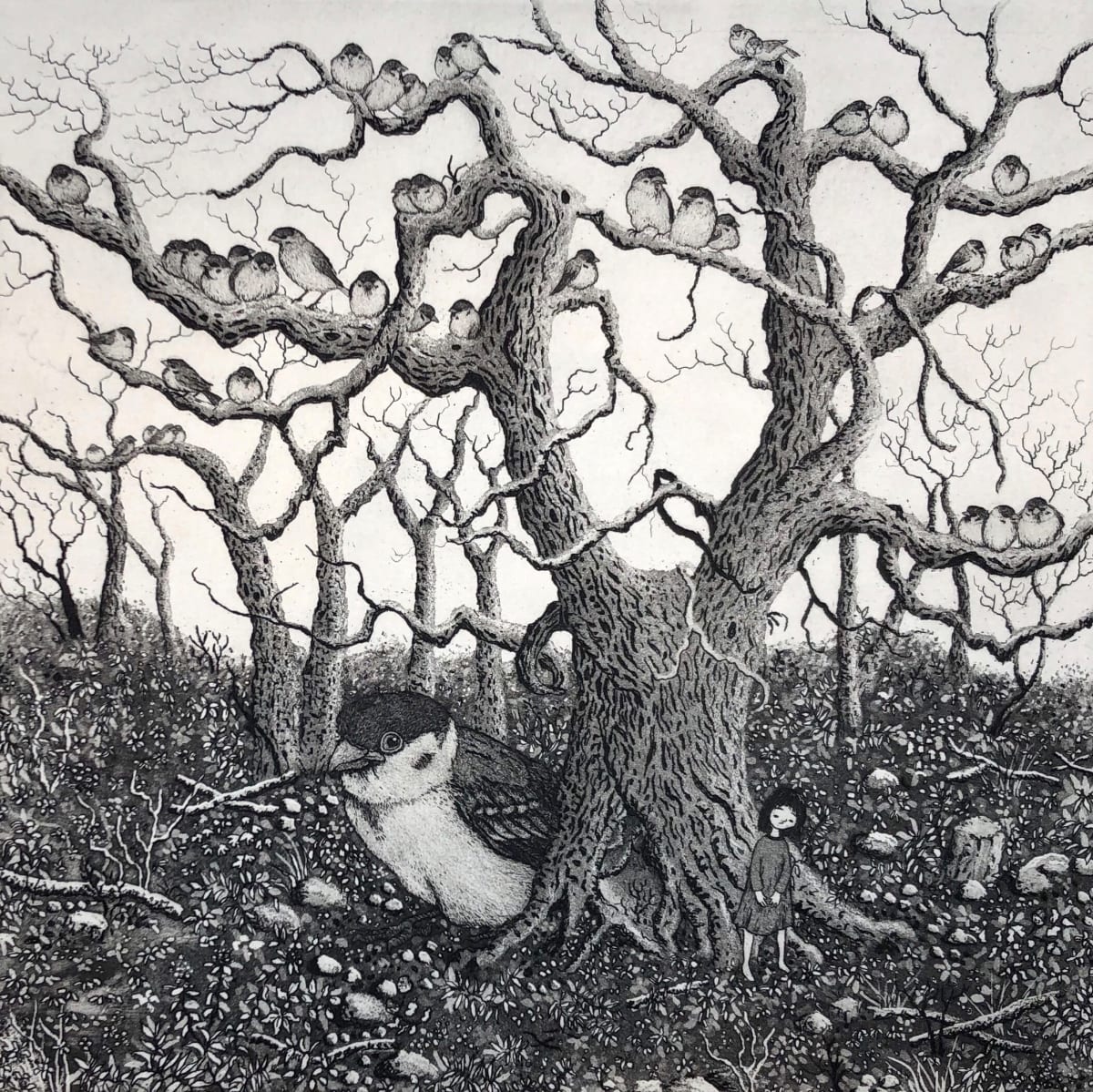 sparrow tree by stephanie Jane Rampton, Image 1.