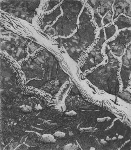 st clair by stephanie Jane Rampton, Image 1.