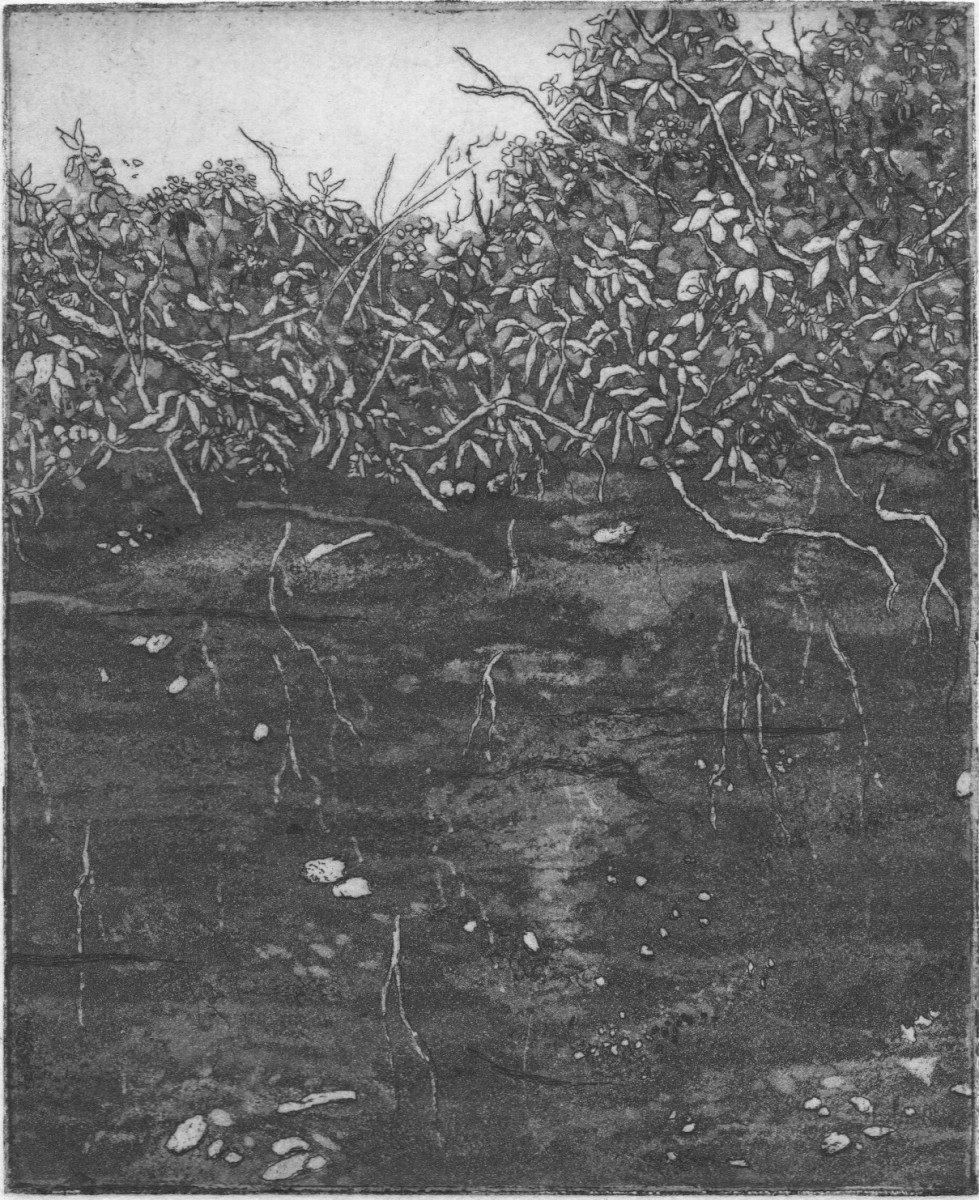 strata by stephanie Jane Rampton 