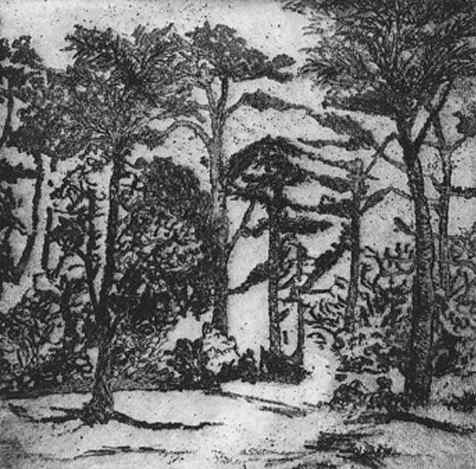 sylvan II by stephanie Jane Rampton, Image 1.
