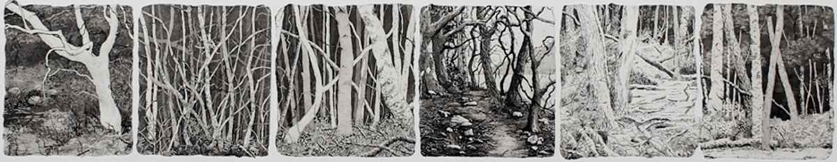 sylvania by stephanie Jane Rampton, Image 1.
