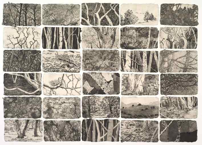 tableau I by stephanie Jane Rampton, Image 1.