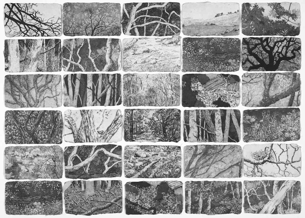 tableau II by stephanie Jane Rampton, Image 1.