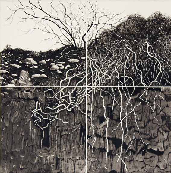 tenacious by stephanie Jane Rampton, Image 1.