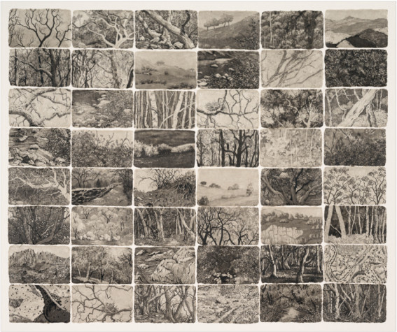 terra memoria by stephanie Jane Rampton 