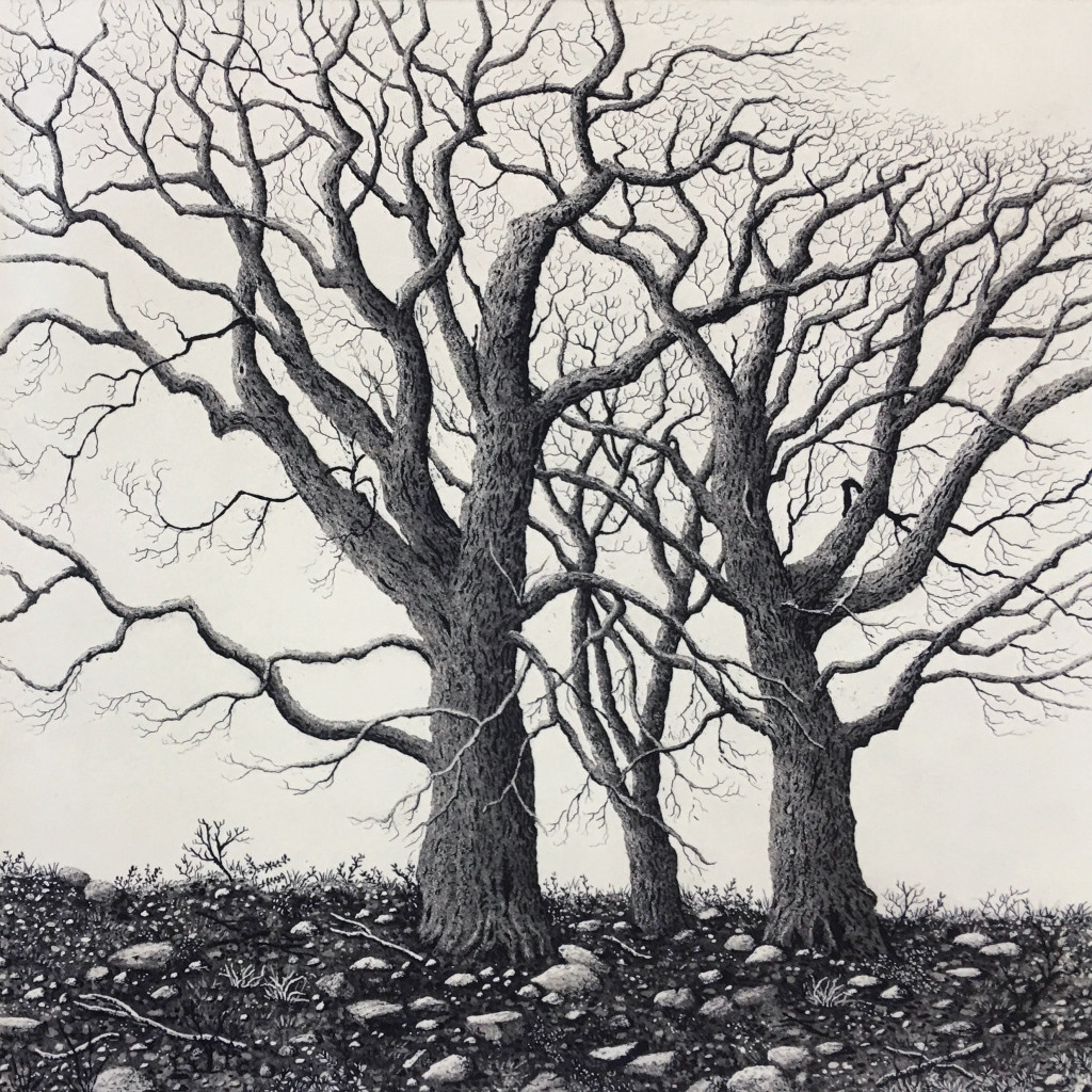 the bleak midwinter by stephanie Jane Rampton, Image 1.