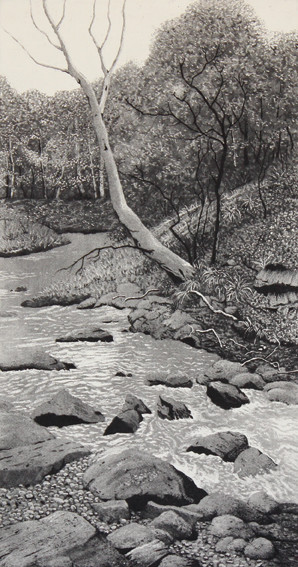 the creek by stephanie Jane Rampton 