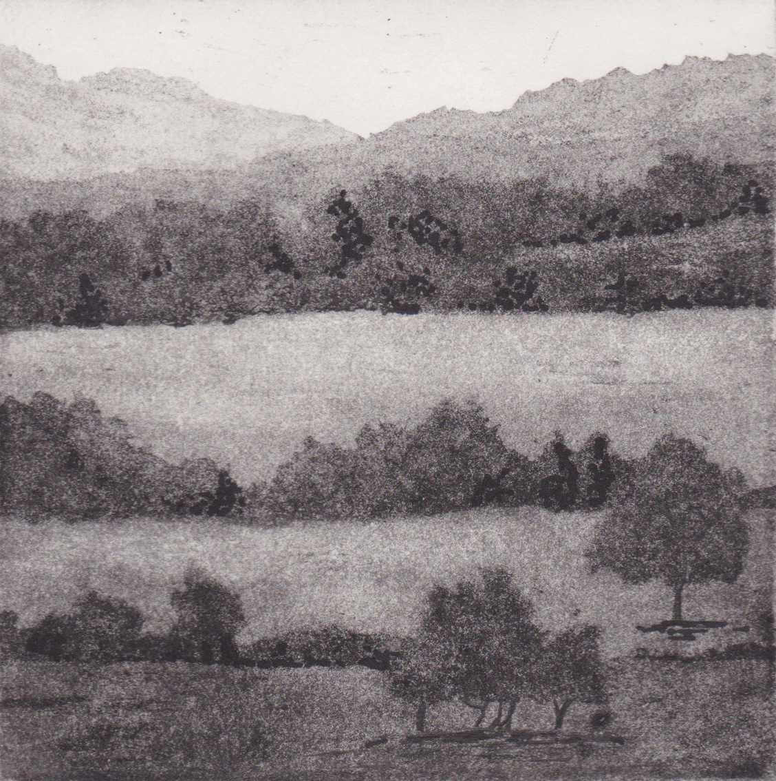 the downs by stephanie Jane Rampton, Image 1.
