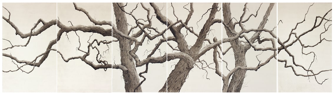 the elms suite by stephanie Jane Rampton, Image 1.