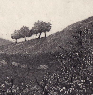 four trees by stephanie Jane Rampton 