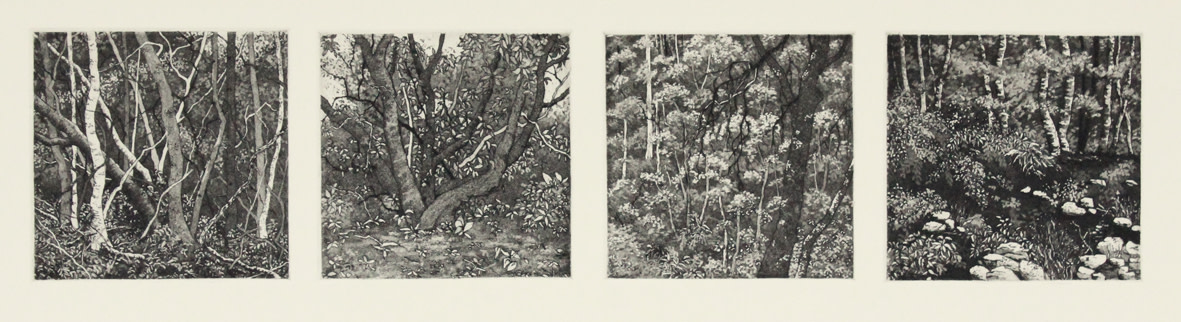 the journey by stephanie Jane Rampton 