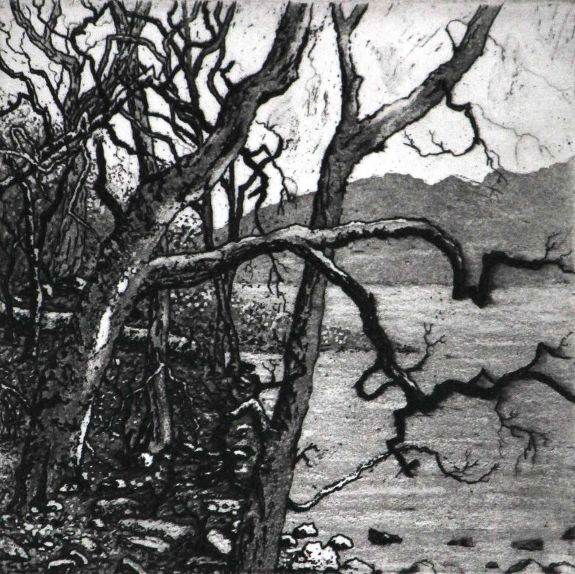 the mere by stephanie Jane Rampton, Image 1.