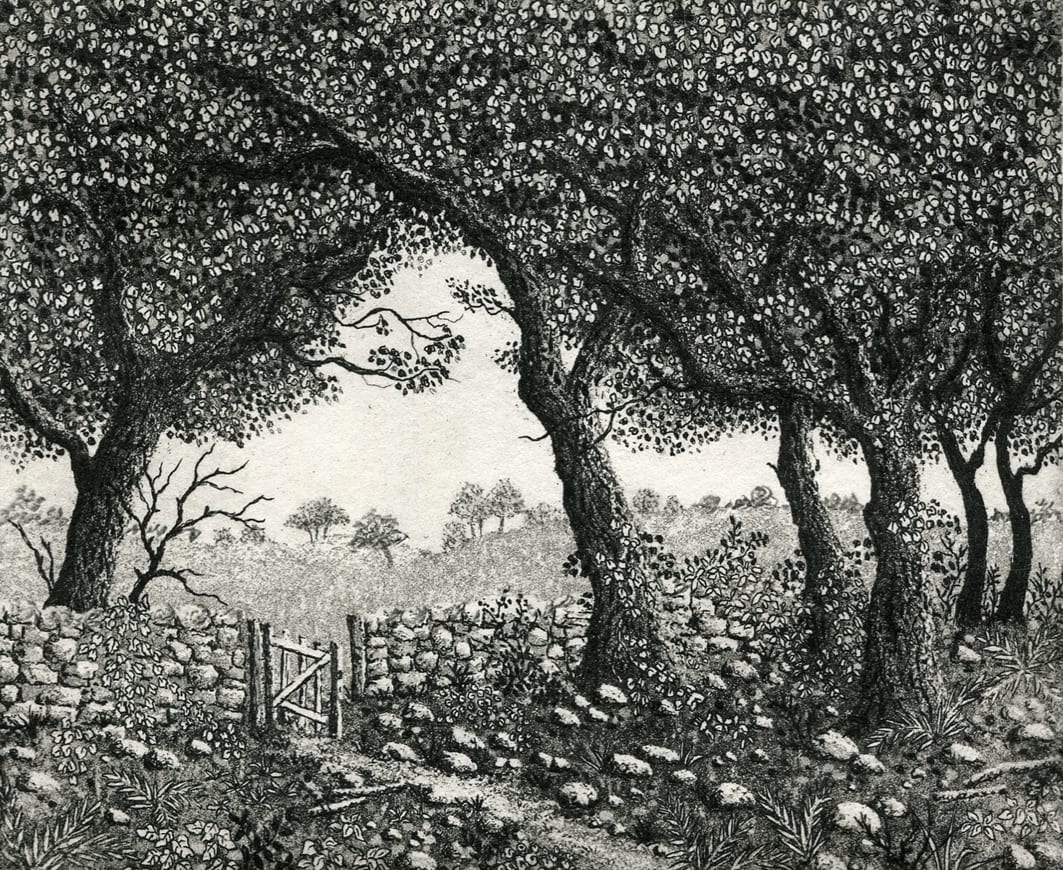 the open gate, Image 1.