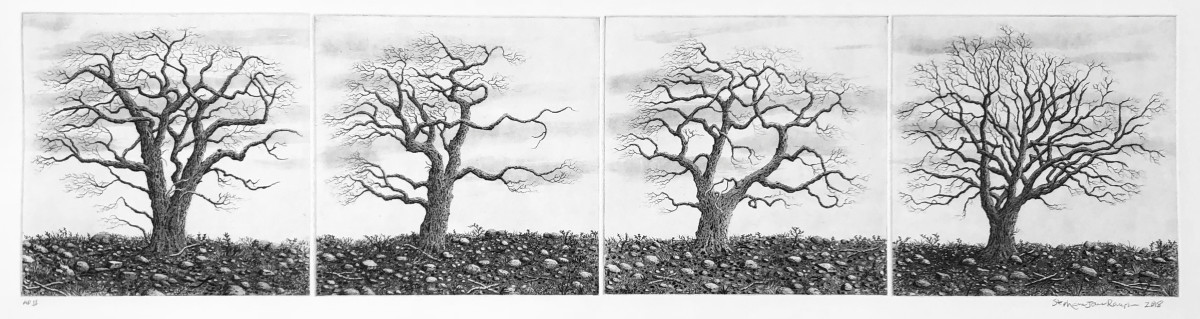 the redoubtables by stephanie Jane Rampton 