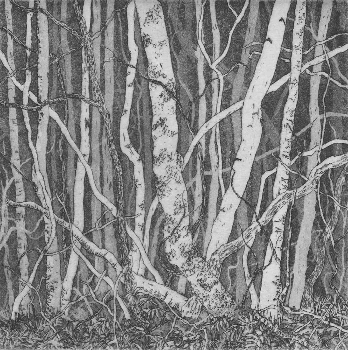 there by stephanie Jane Rampton, Image 1.