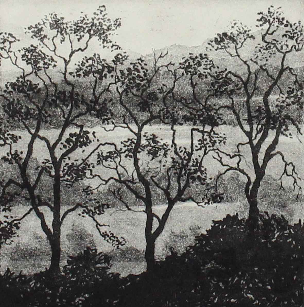 three trees and landscape by stephanie Jane Rampton, Image 1.