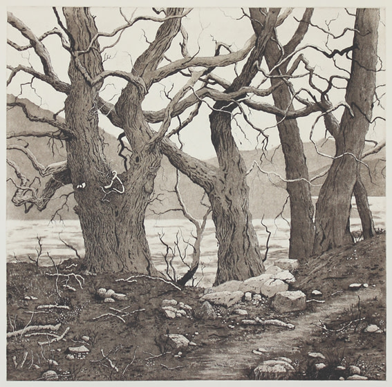 towards patterdale panel 1 second state by stephanie Jane Rampton 
