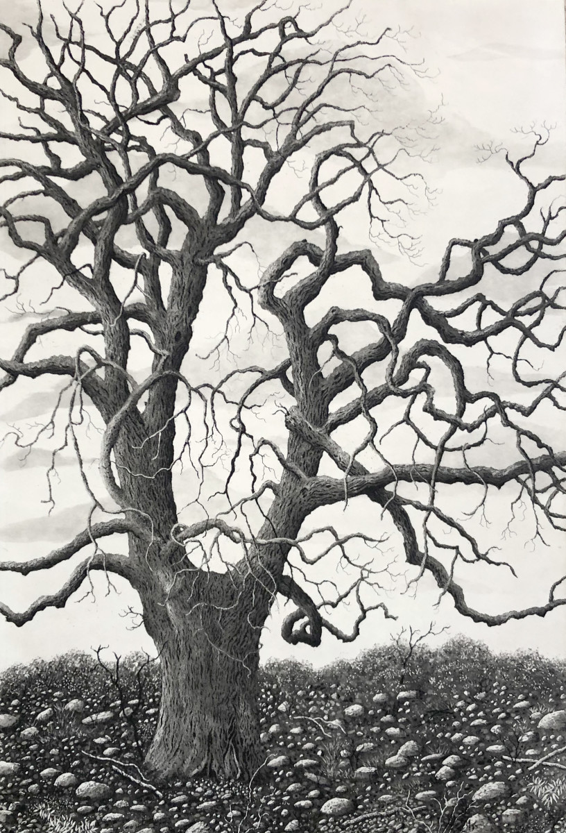 Tree of grace by stephanie Jane Rampton 