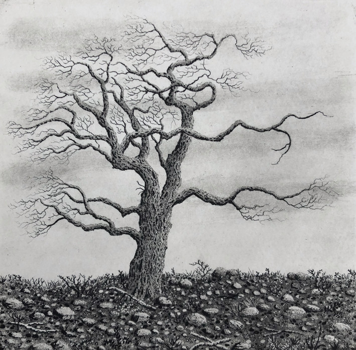 Tree series III by stephanie Jane Rampton 
