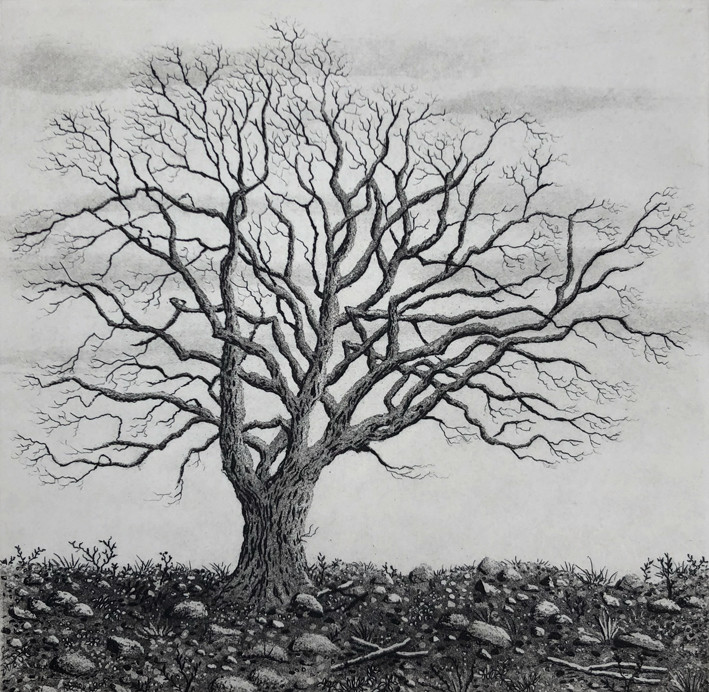 tree series II by stephanie Jane Rampton 