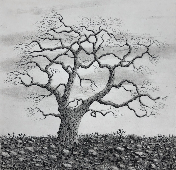 Tree series IV by stephanie Jane Rampton 