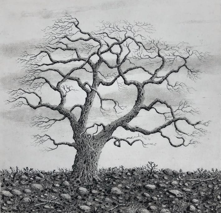Tree series IV by stephanie Jane Rampton, Image 1.
