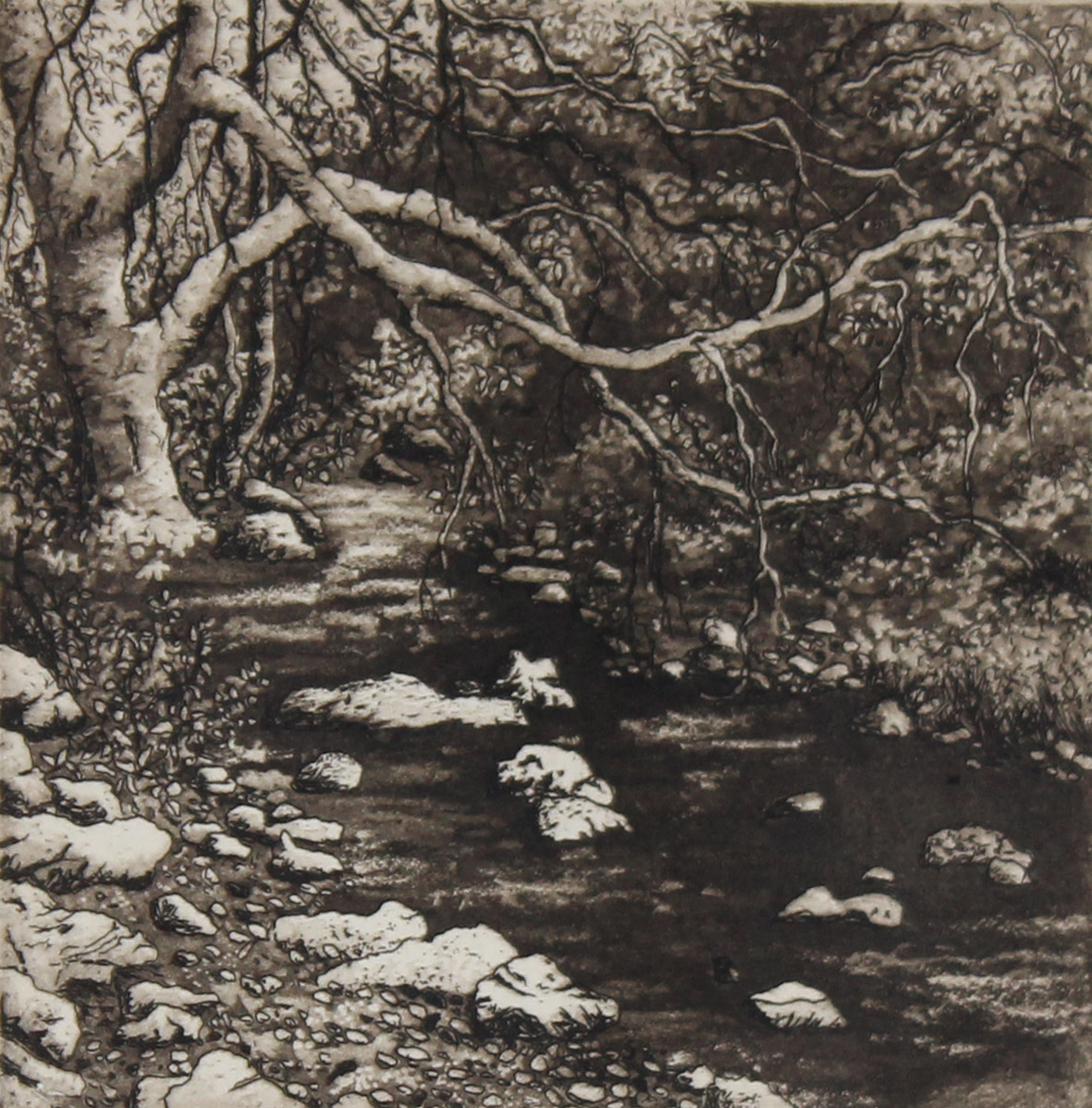 tucker's brook by stephanie Jane Rampton 