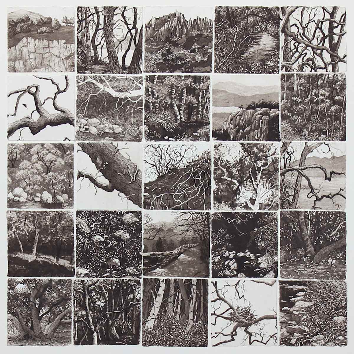 twenty five sanctuaries by stephanie Jane Rampton, Image 1.