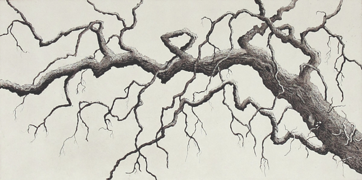 twisted branch by stephanie Jane Rampton 