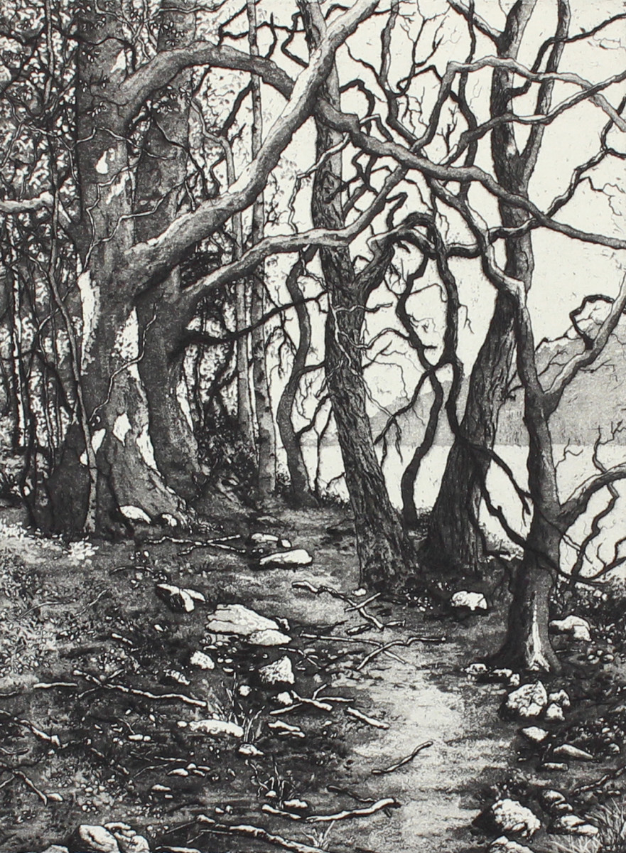 ullswater by stephanie Jane Rampton 